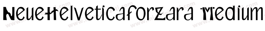 NeueHelveticaforZara Medium字体转换